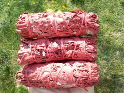 Dragon Blood Sage