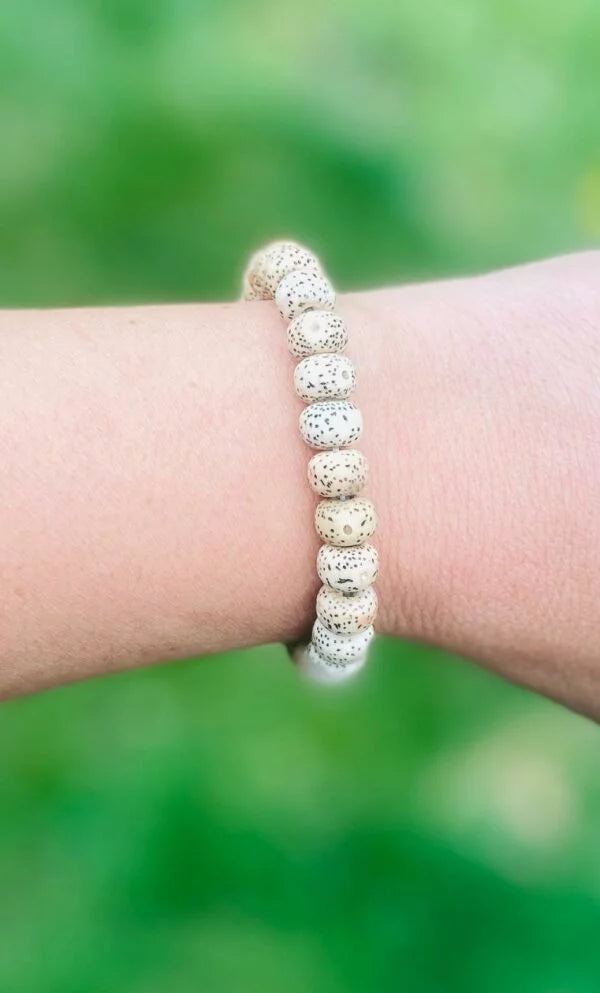 Lotus seed Bracelet